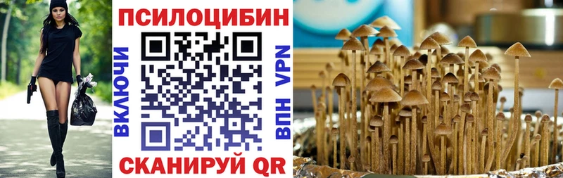 Псилоцибиновые грибы мицелий  Иннополис 